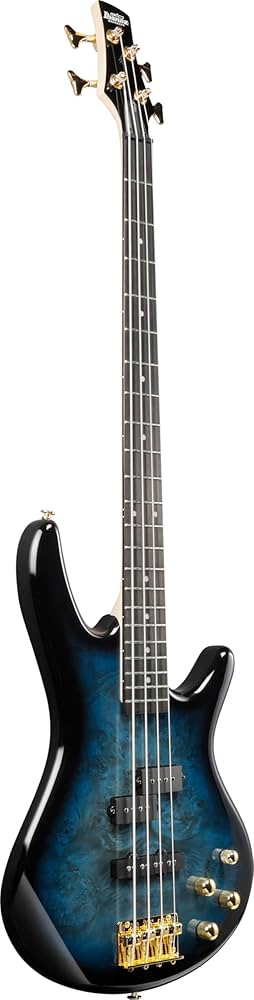Amazon.co.jp: Ibanez GIOシリーズ エレキベース ポプラ・バール